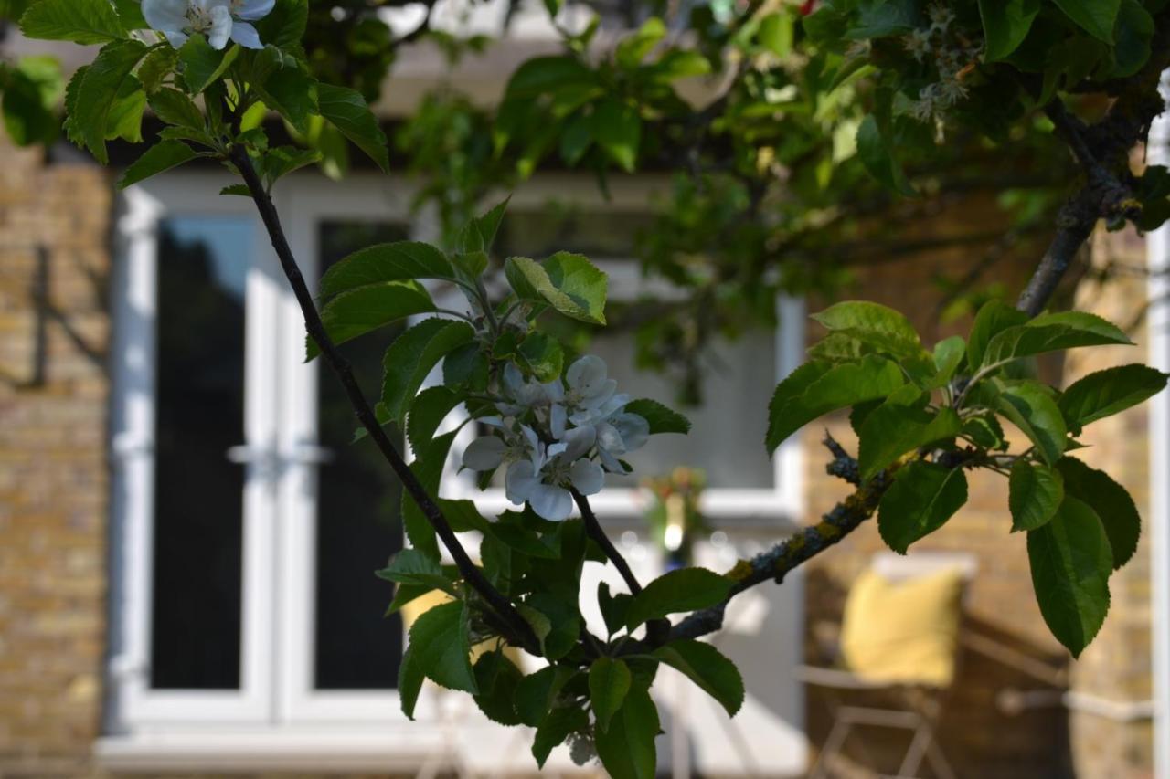 Epicsa - Family & Corporate Stay Mews Apartments With Free Parking CBG Extérieur photo